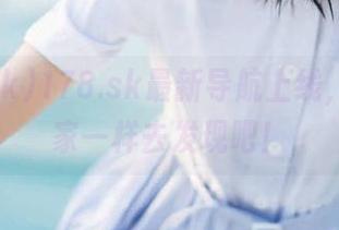 178.sk最新导航上线，像探险家一样去发现吧！
