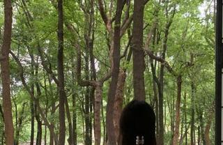 51免费吃瓜最新揭晓，你绝对没听过的小秘密！