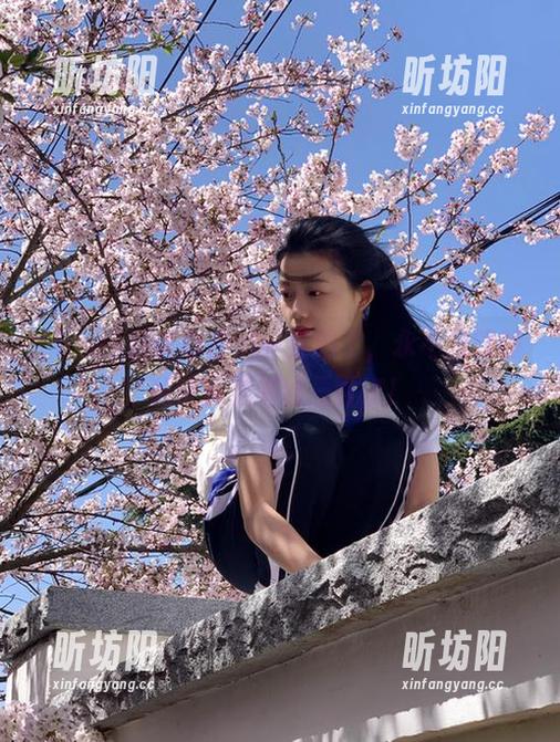 hlw 别说你在hlw迷路了,永不迷路的秘诀就是刷新三百次!