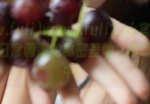 www.fuli2.sk官网：绝对是我日常调剂的秘密基地，真想卧底其中！