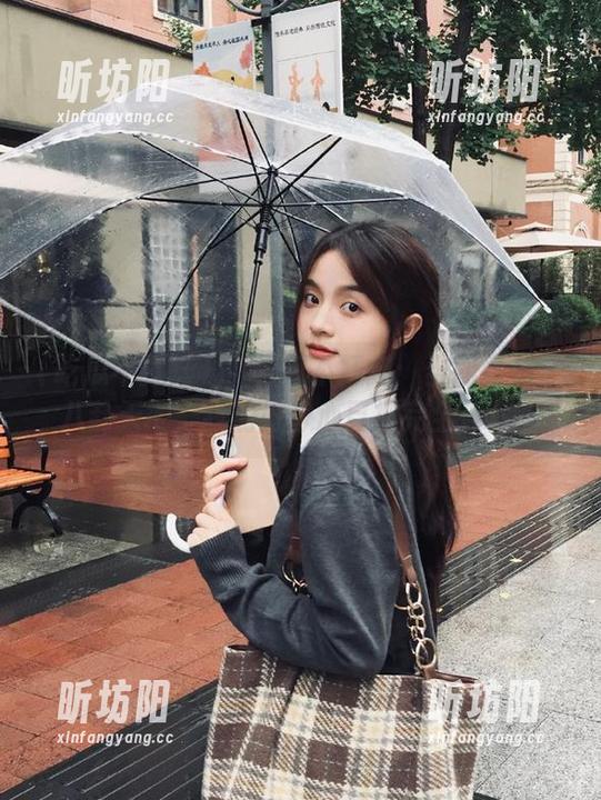 吃瓜不打烊 17吃瓜不打烊:当网页成了八卦天地,我的好奇心已被完全俘获。