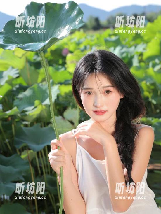 吃瓜网 吃瓜网免费分享新鲜瓜,真是“瓜”分天下!