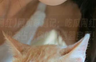 网页奇遇记：吃瓜网红发福利，快来占领你的浏览器宝藏！