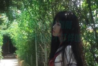 不只是刷刷刷，安卓用户轻松get黑料网黑料不打烊的秘密！