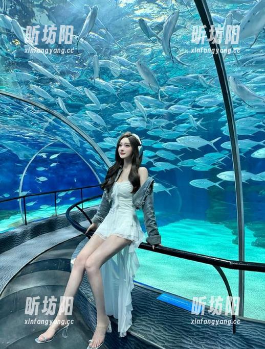 黑料网 要登录黑料网还需要几张臉?网页上的瓜我早就想吃了!