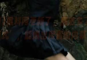 黑料网更新了，居然多了个‘秘密模式’，能爆出度假的内幕吗？